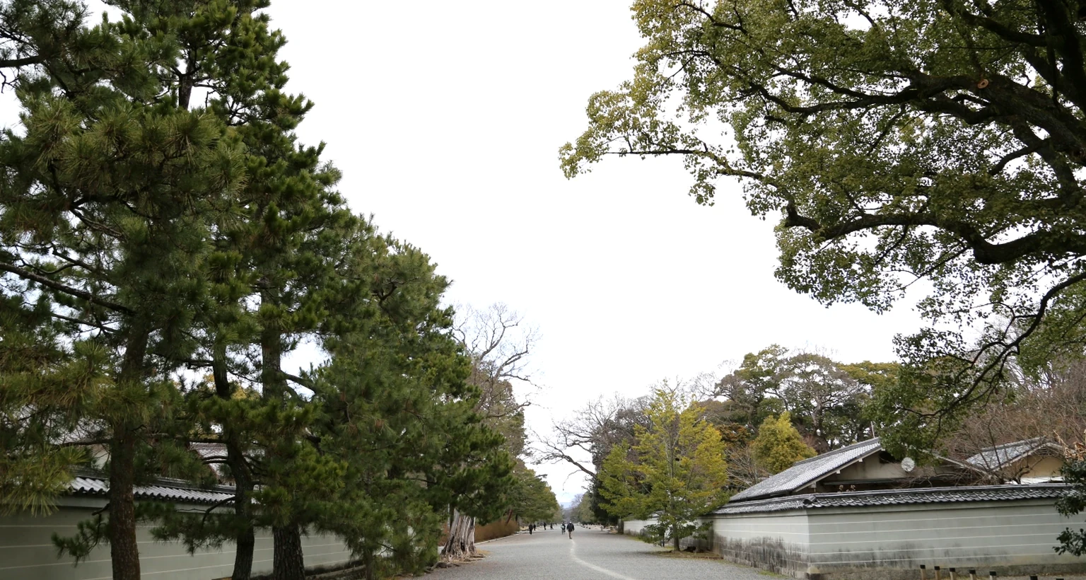 京都御苑の広い砂利道と樹木のある風景